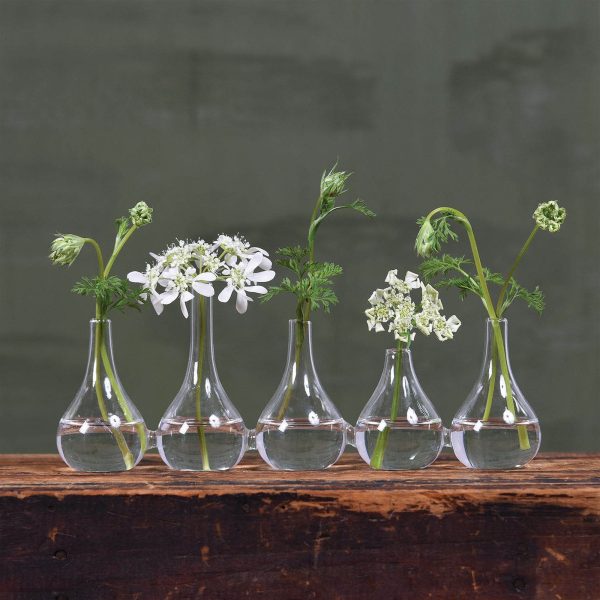 Set Of Five Clear Quintuplet Joined Glass Posy Vases - Image 3