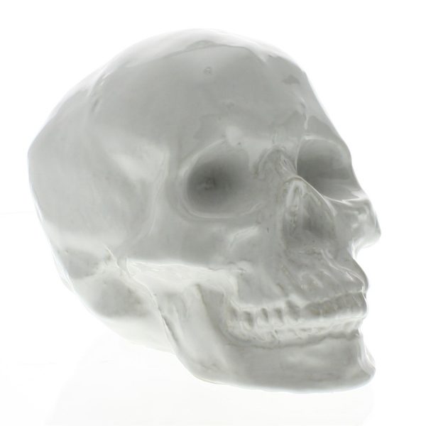 White Ceramic Skull Sculpture - Image 2
