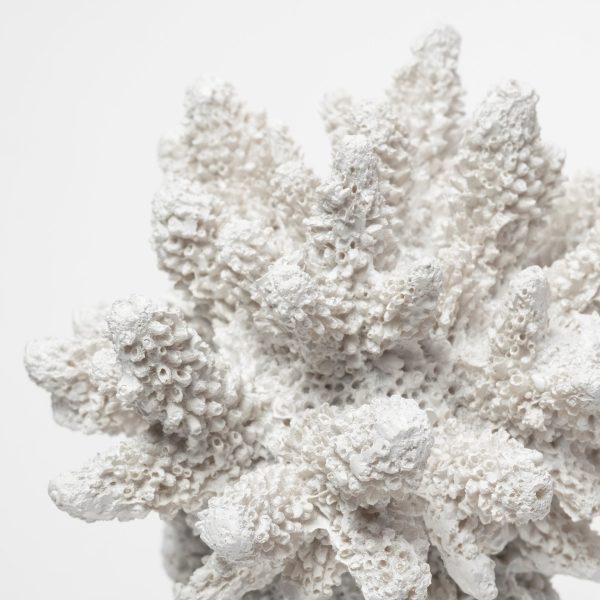 6" White Contempo Coral and Glass Sculpture - Image 3