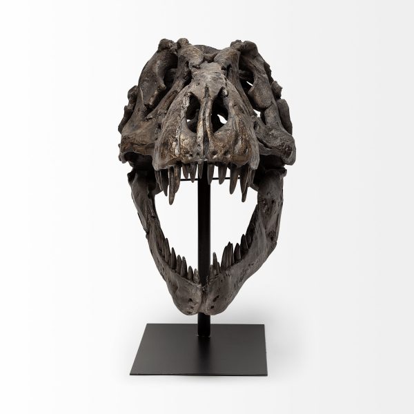 Authentic Replica T Rex Skull Sculpture - Image 2