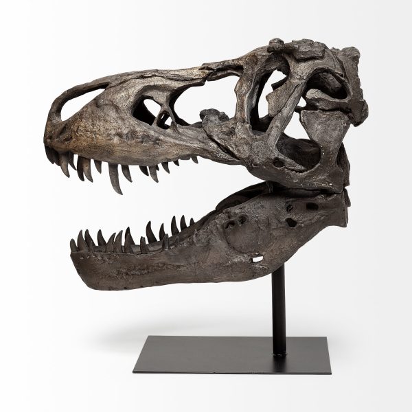 Authentic Replica T Rex Skull Sculpture - Image 3