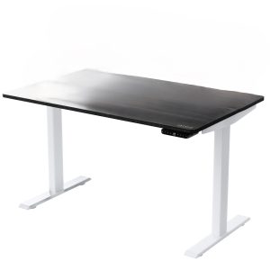 30" Adjustable Black and White Stainless Steel Standing Desk