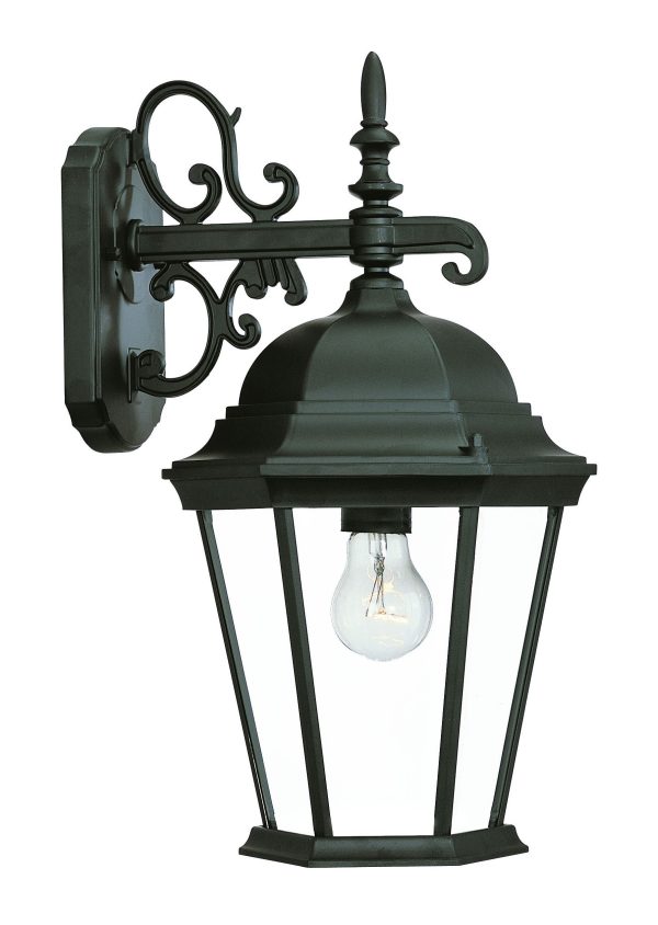 Matte Black Domed Glass Hanging Lantern Wall Light - Image 3
