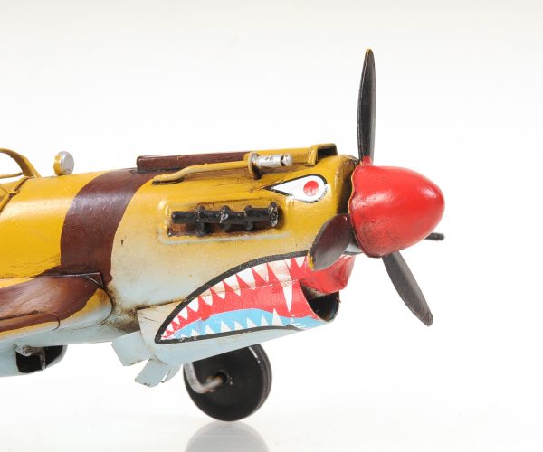 c1941 Curtiss Hawk 81A Sculpture - Image 3