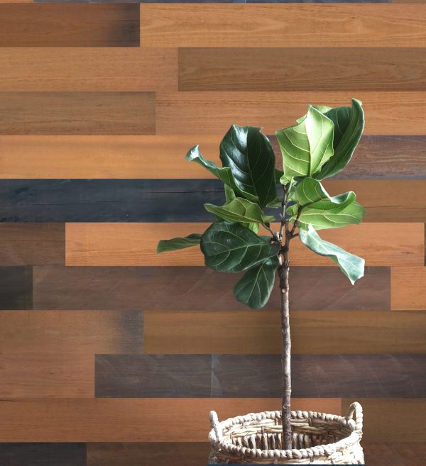 5" x 48" Thermo Treated Brown Rustic Wood Large Wall Plank Set - Image 2