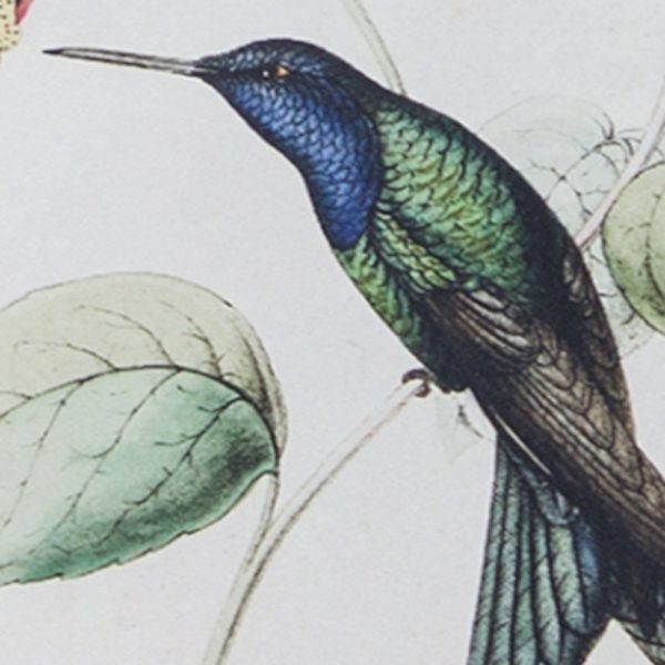 Set Of Four White Hummingbird Wall Decor - Image 3