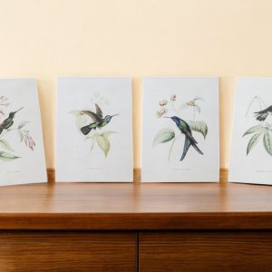 Set Of Four White Hummingbird Wall Decor