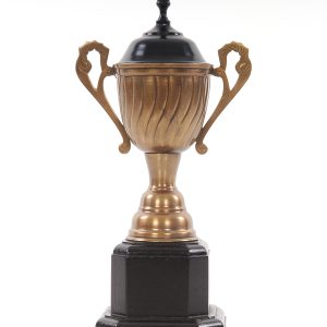 6.5" X 4.5" X 12.5" Alum Wooden Trophy Big