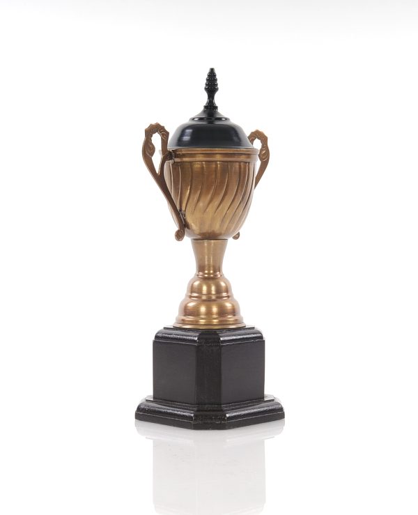 6.5" X 4.5" X 12.5" Alum Wooden Trophy Big - Image 2